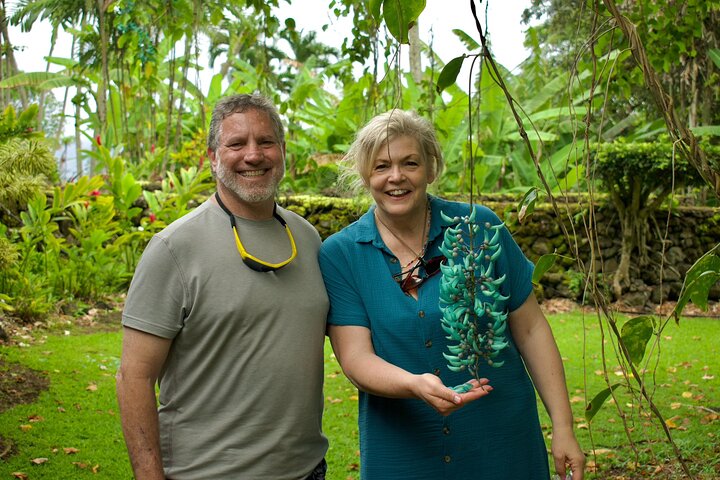 Private VIP-Tour entlang Mauis malerischer Road to Hana mit Wasserfällen, Stränden und üppigen Landschaften, Foto 16 | wizardtrip