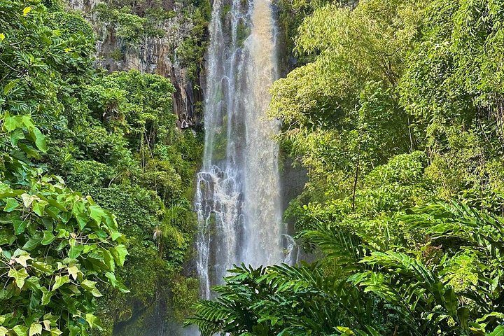 Private VIP-Tour entlang Mauis malerischer Road to Hana mit Wasserfällen, Stränden und üppigen Landschaften, Foto 25 | wizardtrip