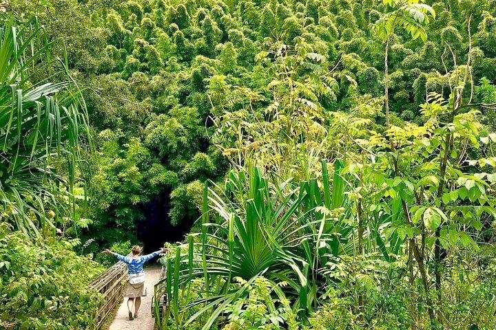 Private VIP-Tour entlang Mauis malerischer Road to Hana mit Wasserfällen, Stränden und üppigen Landschaften, Foto 35 | wizardtrip