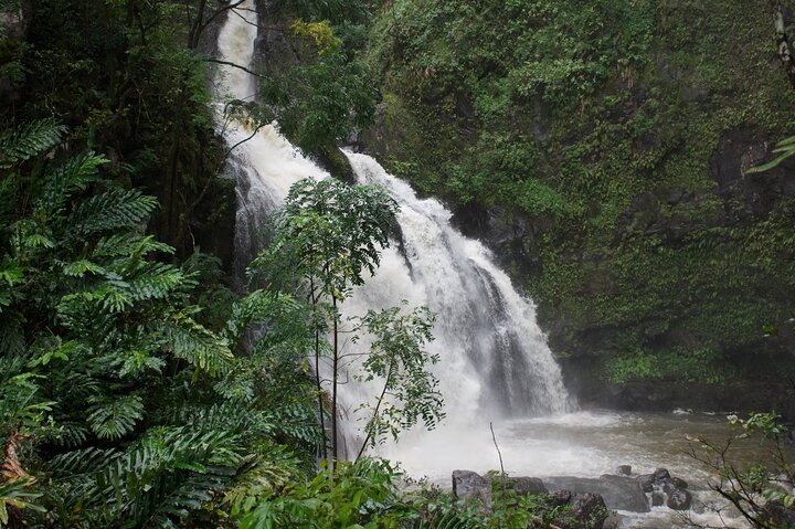 Private VIP-Tour entlang Mauis malerischer Road to Hana mit Wasserfällen, Stränden und üppigen Landschaften, Foto 41 | wizardtrip