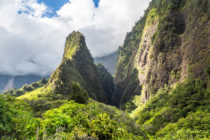 Private VIP-Tour entlang Mauis malerischer Road to Hana mit Wasserfällen, Stränden und üppigen Landschaften, Foto 50 | wizardtrip