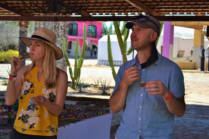 Tour de dia inteiro a Tequila e Amatitán a partir de Guadalajara, México, com destilarias, campos de agave e experiências culturais, foto 8 | wizardtrip