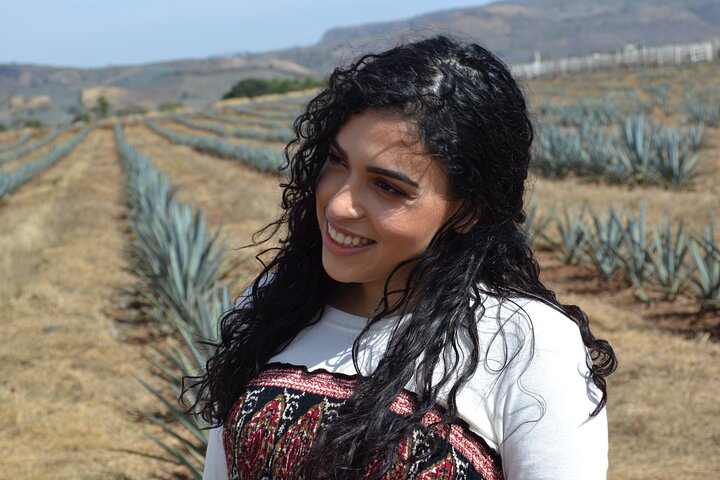 Tour de dia inteiro a Tequila e Amatitán a partir de Guadalajara, México, com destilarias, campos de agave e experiências culturais, foto 9 | wizardtrip