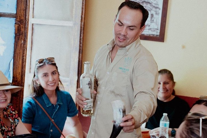 Tour de dia inteiro a Tequila e Amatitán a partir de Guadalajara, México, com destilarias, campos de agave e experiências culturais, foto 14 | wizardtrip