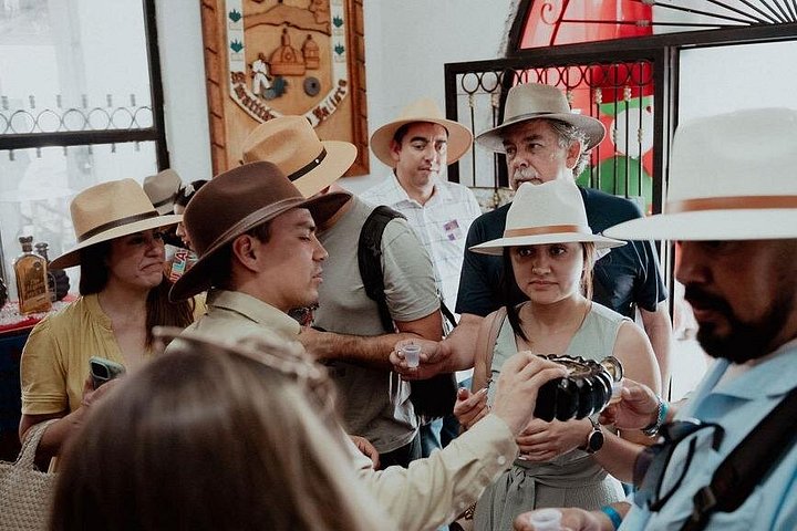 Tour de dia inteiro a Tequila e Amatitán a partir de Guadalajara, México, com destilarias, campos de agave e experiências culturais, foto 16 | wizardtrip