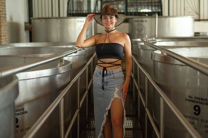 Tour de dia inteiro a Tequila e Amatitán a partir de Guadalajara, México, com destilarias, campos de agave e experiências culturais, foto 18 | wizardtrip