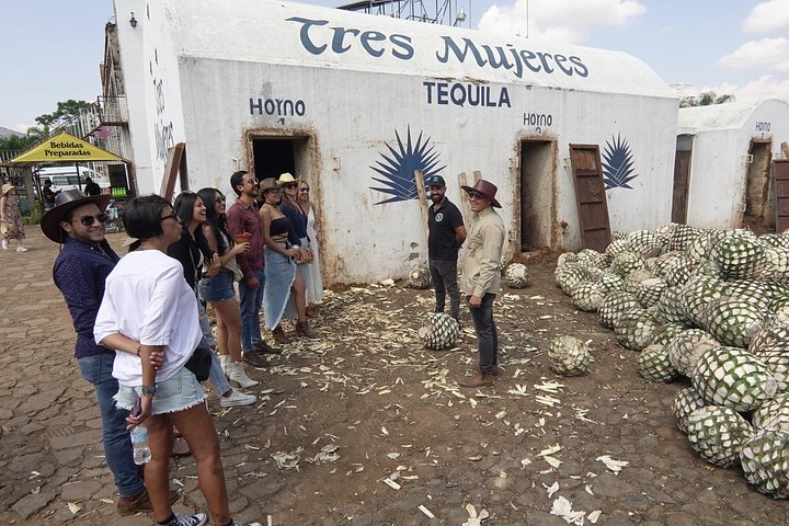 Tour de dia inteiro a Tequila e Amatitán a partir de Guadalajara, México, com destilarias, campos de agave e experiências culturais, foto 19 | wizardtrip