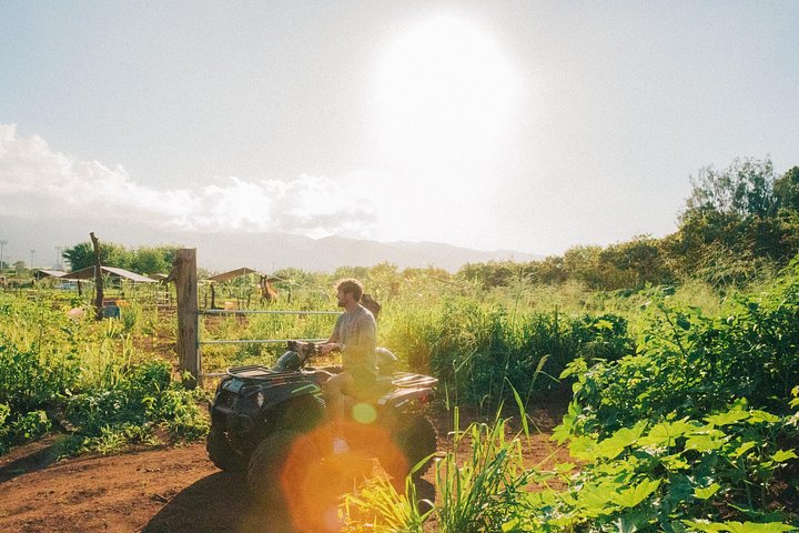 ATV-avontuur op het strandboerderij van Oahu's North Shore, waarbij inheemse planten worden geplant, foto 6 | wizardtrip