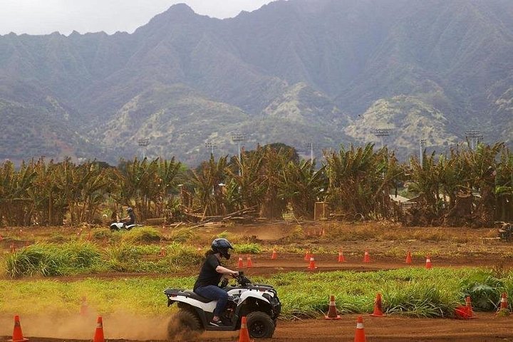 ATV-avontuur op het strandboerderij van Oahu's North Shore, waarbij inheemse planten worden geplant, foto 15 | wizardtrip