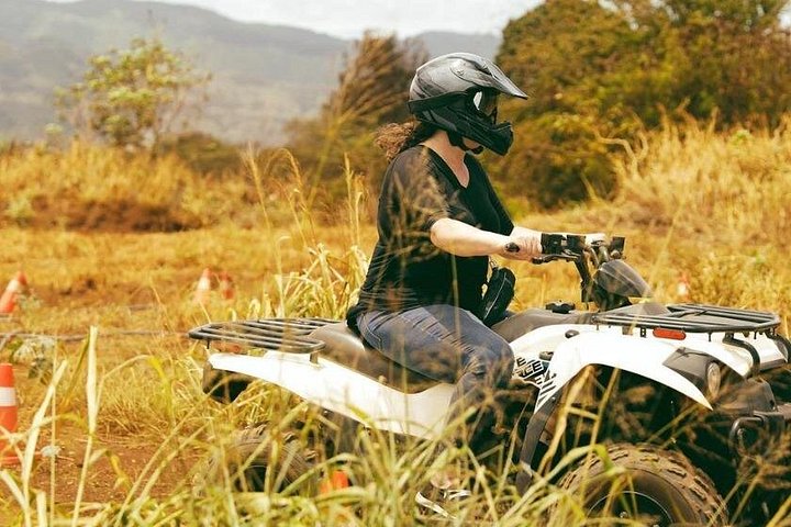 ATV-avontuur op het strandboerderij van Oahu's North Shore, waarbij inheemse planten worden geplant, foto 16 | wizardtrip