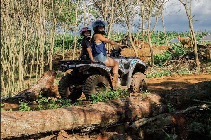 ATV-avontuur op het strandboerderij van Oahu's North Shore, waarbij inheemse planten worden geplant, foto 17 | wizardtrip