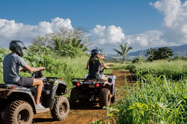 ATV-avontuur op het strandboerderij van Oahu's North Shore, waarbij inheemse planten worden geplant, foto 20 | wizardtrip