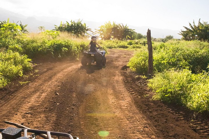 ATV-avontuur op het strandboerderij van Oahu's North Shore, waarbij inheemse planten worden geplant, foto 22 | wizardtrip