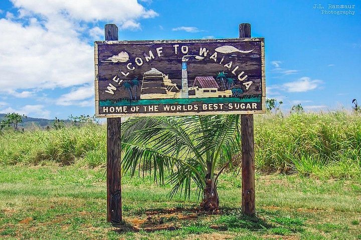 ATV-avontuur op het strandboerderij van Oahu's North Shore, waarbij inheemse planten worden geplant, foto 23 | wizardtrip