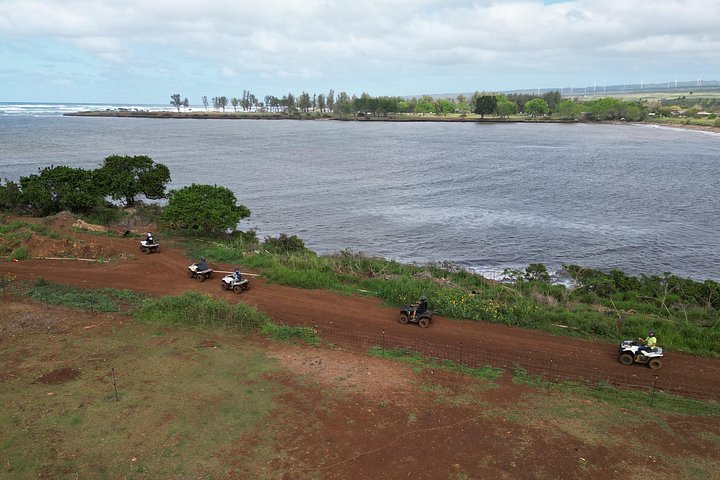 ATV-avontuur op het strandboerderij van Oahu's North Shore, waarbij inheemse planten worden geplant, foto 25 | wizardtrip