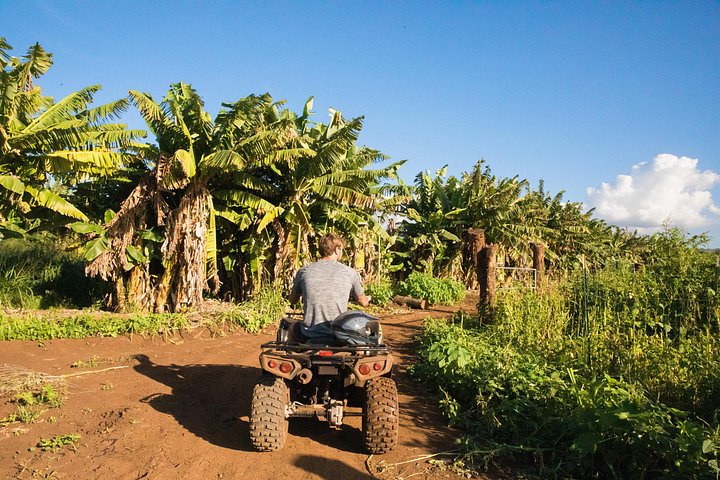 ATV-avontuur op het strandboerderij van Oahu's North Shore, waarbij inheemse planten worden geplant, foto 27 | wizardtrip