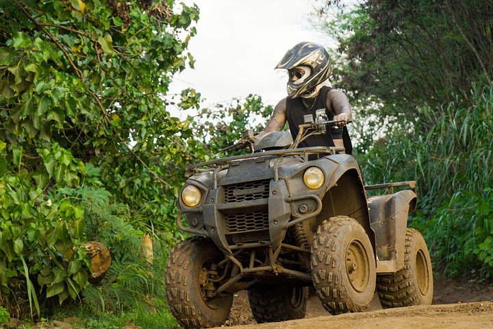 ATV-avontuur op het strandboerderij van Oahu's North Shore, waarbij inheemse planten worden geplant, foto 31 | wizardtrip