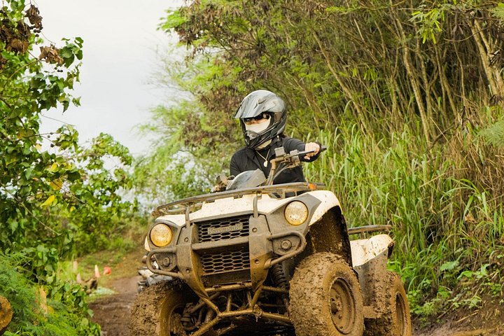 ATV-avontuur op het strandboerderij van Oahu's North Shore, waarbij inheemse planten worden geplant, foto 33 | wizardtrip