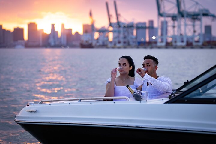 Alquiler de barco privado en Miami que ofrece visitas turísticas, visitas a bancos de arena y cruceros al atardecer por la costa, foto 11 | wizardtrip