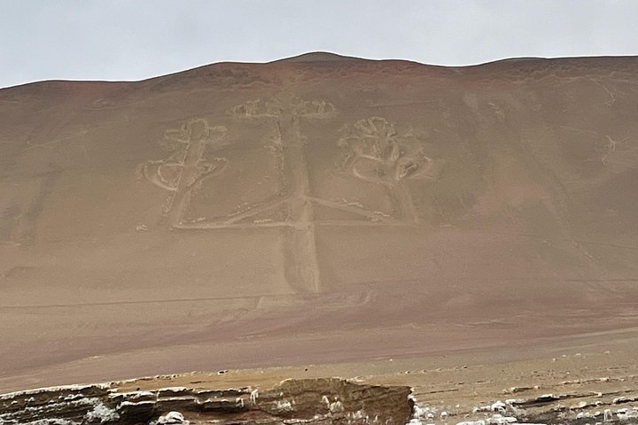 Eksklusiv dagstur fra Lima til Paracas og Huacachina med ørkenoplevelser, dyreliv og solnedgangs-picnic, foto 15 | wizardtrip