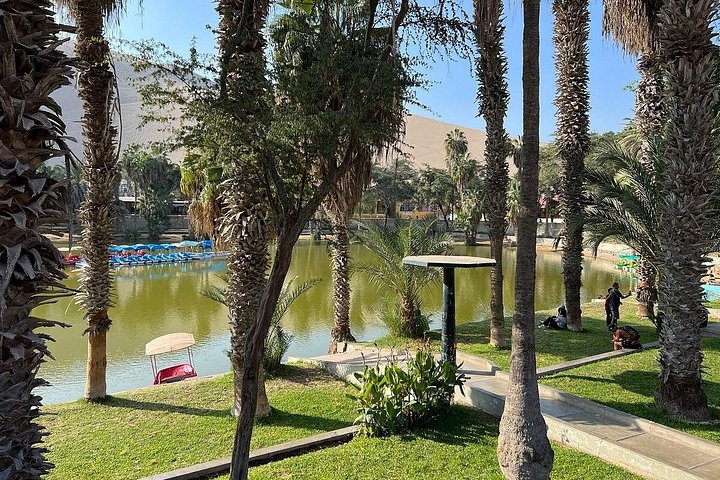 Eksklusiv dagstur fra Lima til Paracas og Huacachina med ørkenoplevelser, dyreliv og solnedgangs-picnic, foto 20 | wizardtrip