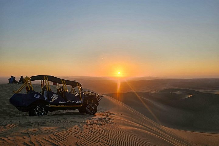 Eksklusiv dagstur fra Lima til Paracas og Huacachina med ørkenoplevelser, dyreliv og solnedgangs-picnic, foto 25 | wizardtrip
