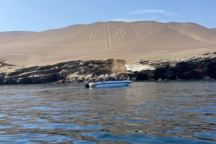 Eksklusiv dagstur fra Lima til Paracas og Huacachina med ørkenoplevelser, dyreliv og solnedgangs-picnic, foto 39 | wizardtrip