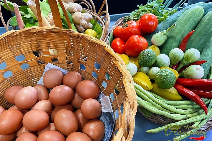 Learn authentic Thai cooking and visit an organic farm in Koh Samui, photo 9 | wizardtrip