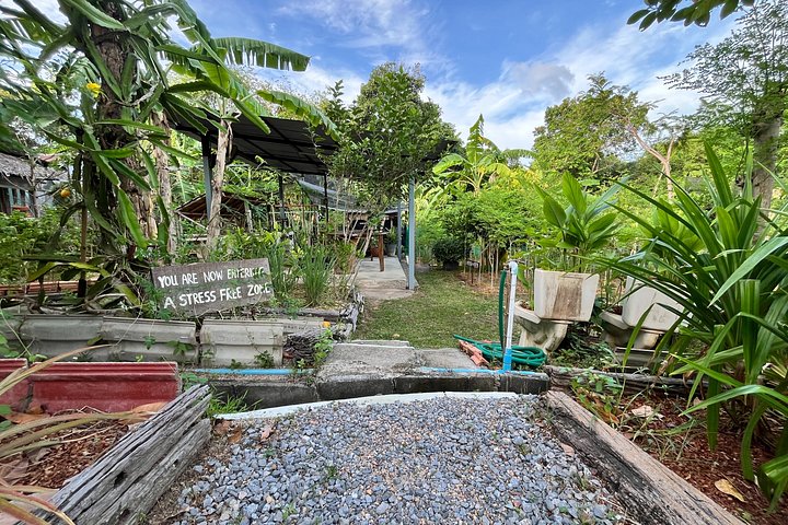 Learn authentic Thai cooking and visit an organic farm in Koh Samui, photo 11 | wizardtrip
