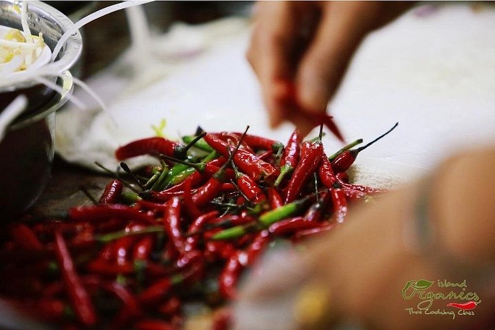 Learn authentic Thai cooking and visit an organic farm in Koh Samui, photo 16 | wizardtrip