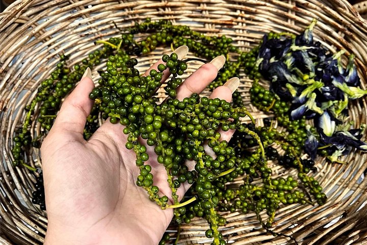 Learn authentic Thai cooking and visit an organic farm in Koh Samui, photo 26 | wizardtrip