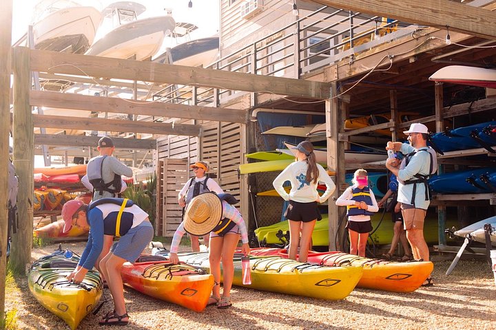 Begeleide kajaktocht in Shem Creek, Charleston, met dolfijnen en lokale wildlife, foto 6 | wizardtrip