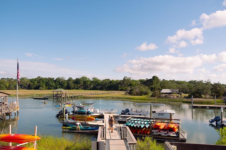 Begeleide kajaktocht in Shem Creek, Charleston, met dolfijnen en lokale wildlife, foto 7 | wizardtrip