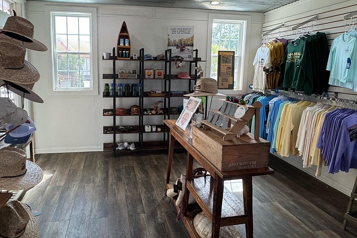 Begeleide kajaktocht in Shem Creek, Charleston, met dolfijnen en lokale wildlife, foto 9 | wizardtrip