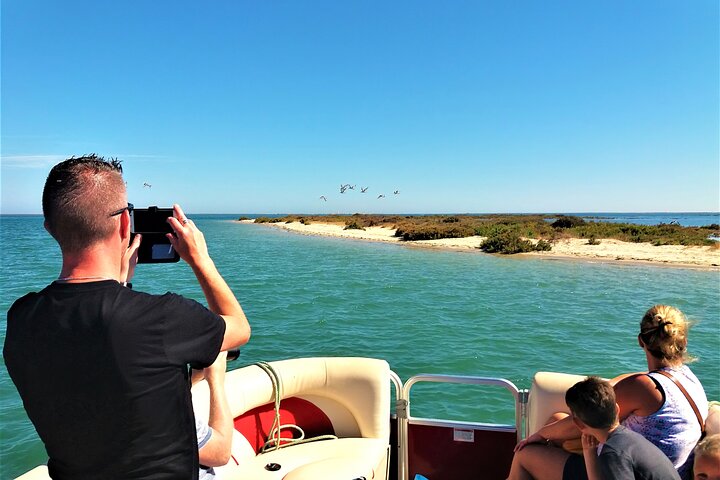 Bådtur gennem Ria Formosa Naturpark, besøg på øerne Deserta og Farol fra Faro, Portugal, foto 10 | wizardtrip