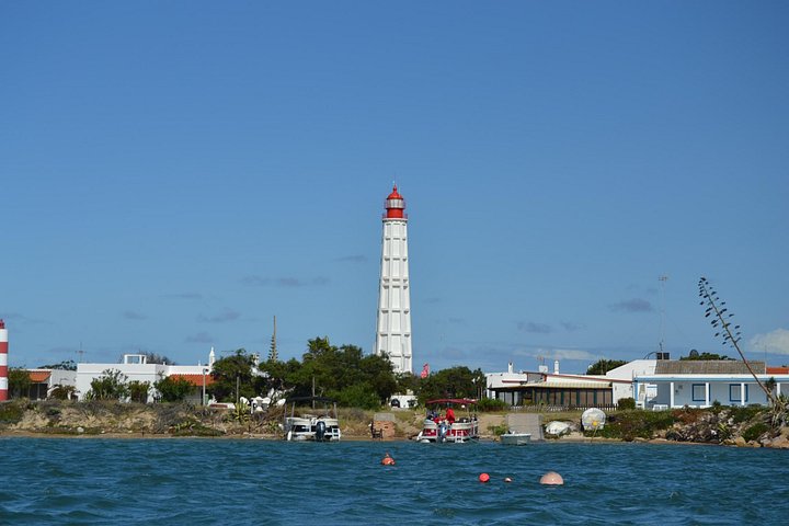 Bådtur gennem Ria Formosa Naturpark, besøg på øerne Deserta og Farol fra Faro, Portugal, foto 19 | wizardtrip