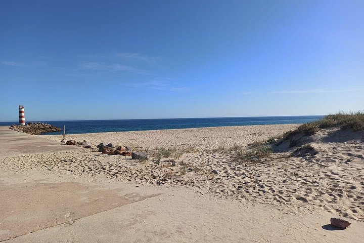 Bådtur gennem Ria Formosa Naturpark, besøg på øerne Deserta og Farol fra Faro, Portugal, foto 21 | wizardtrip