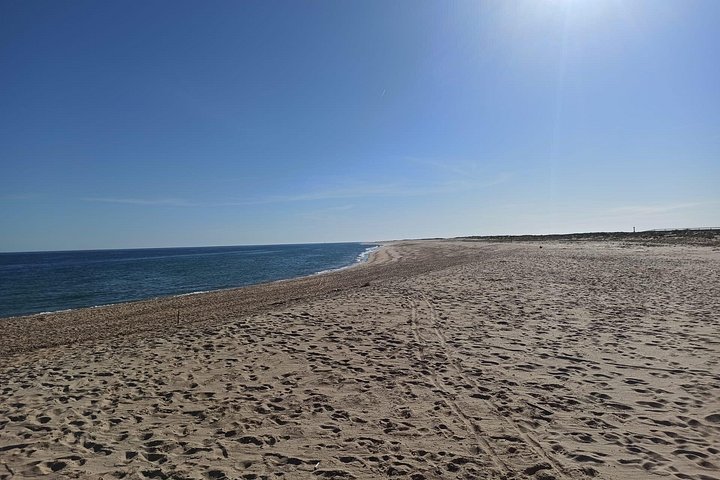 Bådtur gennem Ria Formosa Naturpark, besøg på øerne Deserta og Farol fra Faro, Portugal, foto 22 | wizardtrip