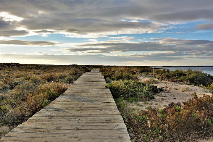Bådtur gennem Ria Formosa Naturpark, besøg på øerne Deserta og Farol fra Faro, Portugal, foto 23 | wizardtrip