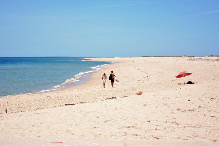 Bådtur gennem Ria Formosa Naturpark, besøg på øerne Deserta og Farol fra Faro, Portugal, foto 24 | wizardtrip