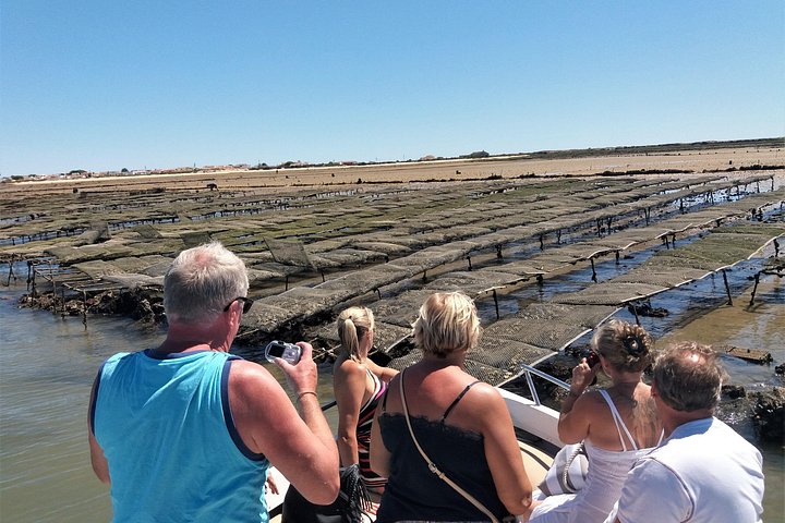Bådtur gennem Ria Formosa Naturpark, besøg på øerne Deserta og Farol fra Faro, Portugal, foto 25 | wizardtrip