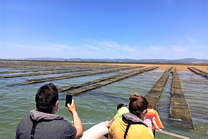 Bådtur gennem Ria Formosa Naturpark, besøg på øerne Deserta og Farol fra Faro, Portugal, foto 26 | wizardtrip