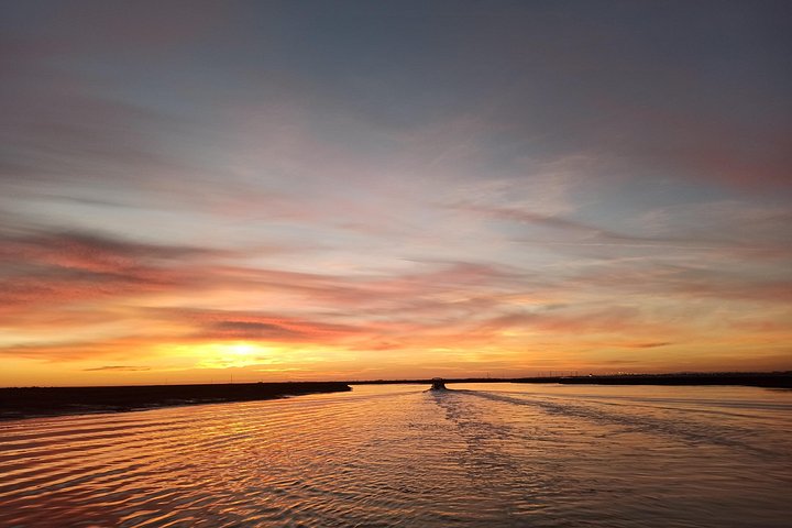 Bådtur gennem Ria Formosa Naturpark, besøg på øerne Deserta og Farol fra Faro, Portugal, foto 30 | wizardtrip