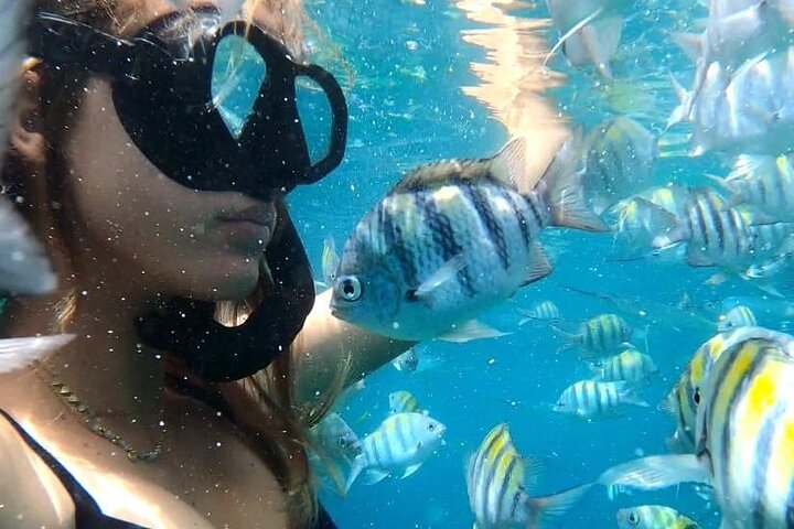 Luxury catamaran sailing trip in Sint Maarten with snorkeling and onboard lunch, photo 2 | wizardtrip