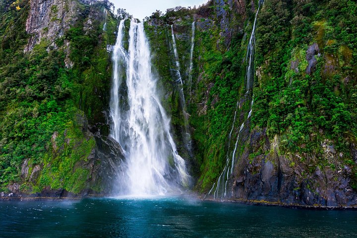 Kleingruppentour zum Milford Sound von Queenstown mit Panoramflug und Kreuzfahrt, Foto 20 | wizardtrip