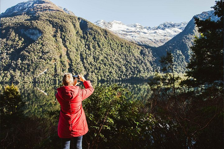 Tour met kleine groepen naar Milford Sound vanuit Queenstown met schilderachtige cruise en lunch, foto 10 | wizardtrip