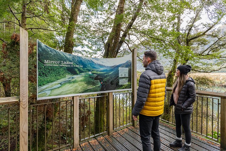 Tour met kleine groepen naar Milford Sound vanuit Queenstown met schilderachtige cruise en lunch, foto 13 | wizardtrip