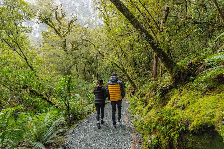 Tour met kleine groepen naar Milford Sound vanuit Queenstown met schilderachtige cruise en lunch, foto 15 | wizardtrip