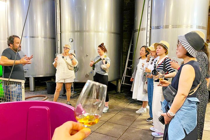 Ganztägige Weintour im Douro-Tal ab Porto mit Weinproben, Bootsfahrt und Mittagessen, Foto 7 | wizardtrip