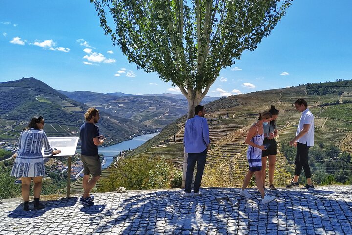 Ganztägige Weintour im Douro-Tal ab Porto mit Weinproben, Bootsfahrt und Mittagessen, Foto 8 | wizardtrip